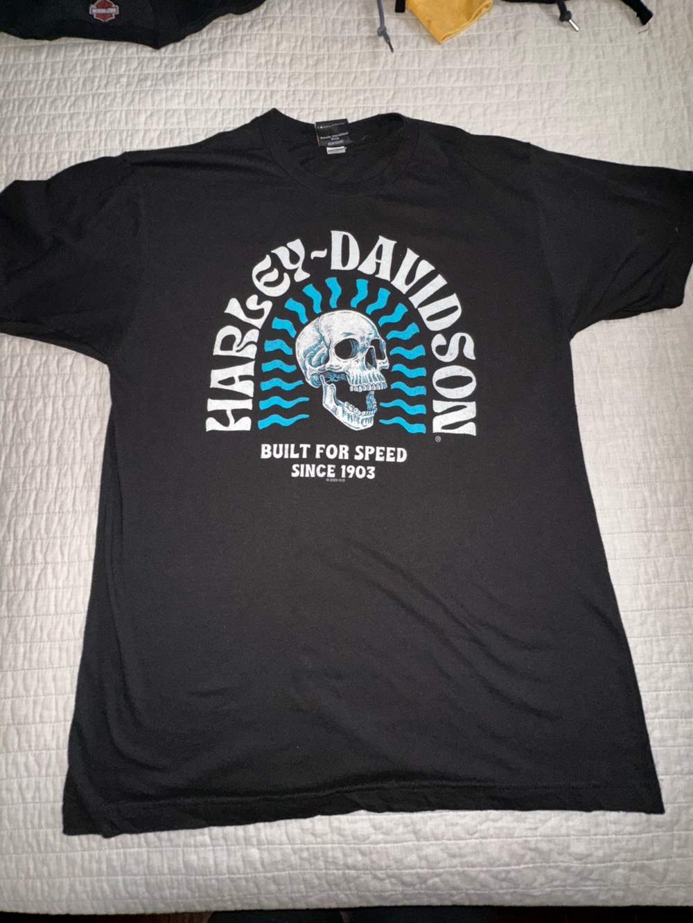 Harley-Davidson Men’s Size Large Lightweight Short Sleeve Tshirt - Picture 4 of 4